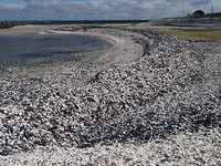 omgeving fjerritslev_13-06-2019 (11)