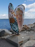 omgeving fjerritslev_13-06-2019 (15)