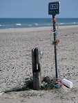 lonstrup_14-06-2019 (21)