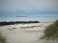 skagen_16-06-2019 (2)