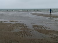 skagen_16-06-2019 (3)