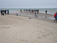 skagen_16-06-2019 (7)