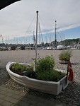 nordborg_26-06-2019 (5)