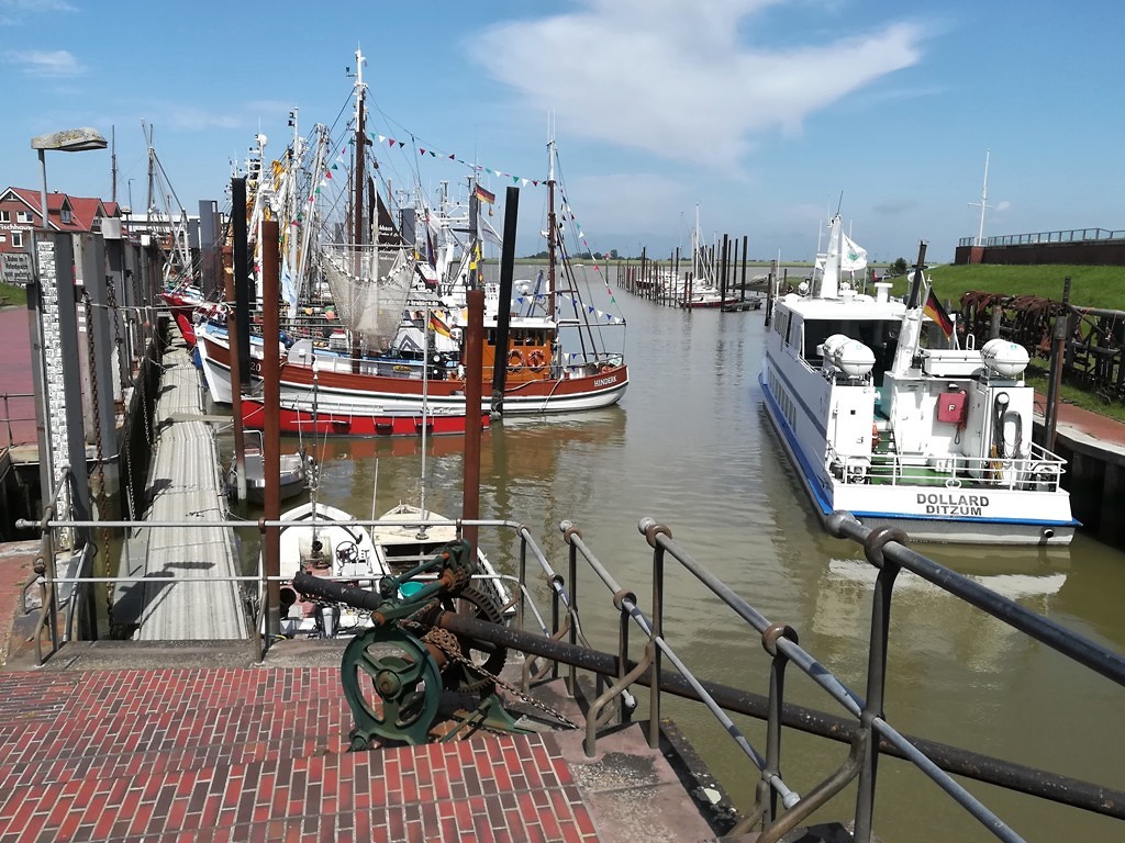 weddelbrook-ditzum_30-06-2019 (4)