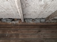 ditzum 2 ,..2 juli 2019 (11)