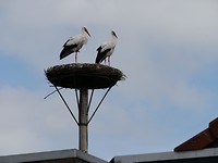 aquazoo_04-07-2019 (1)