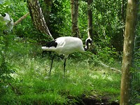 aquazoo_04-07-2019 (3)