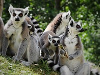 aquazoo_04-07-2019 (5)