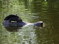 aquazoo_04-07-2019 (12)