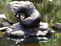 aquazoo_04-07-2019 (13)