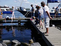 serooskerke-veere_08-2019 (22)