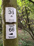 simonskall-eifel_08-2019 (5)
