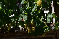 vezolay_03-09-2019 (8)