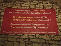 loire 09-09-2019 (2)