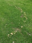 texel_09-2020 (10)