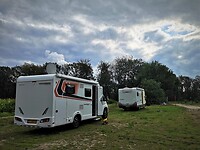 maasduinen_10-10-2020 (1)