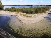 maasduinen_10-10-2020 (6)