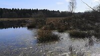 gieten- borger 30 maart 2021