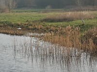 hellendoorn_01-04-2021  (2)