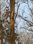 hellendoorn_01-04-2021  (3)