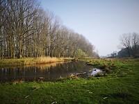 hellendoorn_01-04-2021  (8)