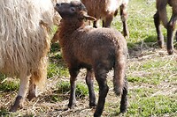 huizen_13-04-2021 (2)