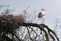 veessen_14-04-2021 (5)