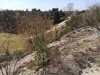 lemele_16-04-2021 (1)