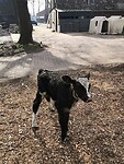 taarlo_18-04-2021 (3)