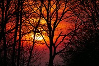 ruinerwold_20-04-2021 (1)