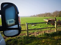 ruinerwold_20-04-2021 (7)