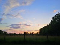 balgoy-wijchen_05-06-2021 (11)