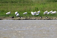 termunden_06-2021 (15)