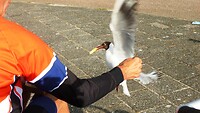 texel-22-06-2021 (13)