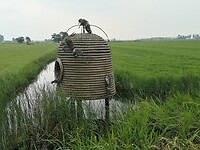 oudega_25-06-2025  (9)