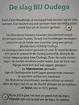 oudega_25-06-2025  (10)