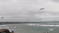 saeby_27-08-2021  (1)