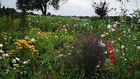 odense_29-08-2021_Trim 2