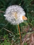 ulstrup_03-09-2021 (30)