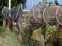 rovig-havn_09-09-2021 (29)