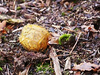schaijk_29-10-2021 (1)