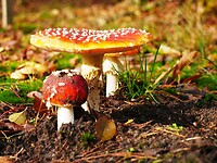 schaijk_29-10-2021 (2)