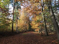 schaijk_30-10-2021