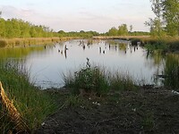 zwartemeer_12-05-2022 (7)