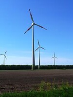 bargerveen_15-05-2022 (11)