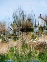 bargerveen_17-05-2022 (18)