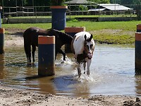 eersel_03-06-2022 (10)