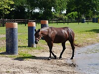 eersel_03-06-2022 (11)