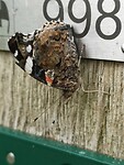 holten 10-11-06-2022 (2)