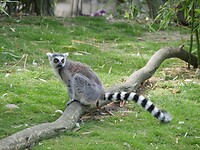 luttelgeest_15-07-2022 (22)